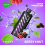 VOZOL GEAR 25000 Berry Mint