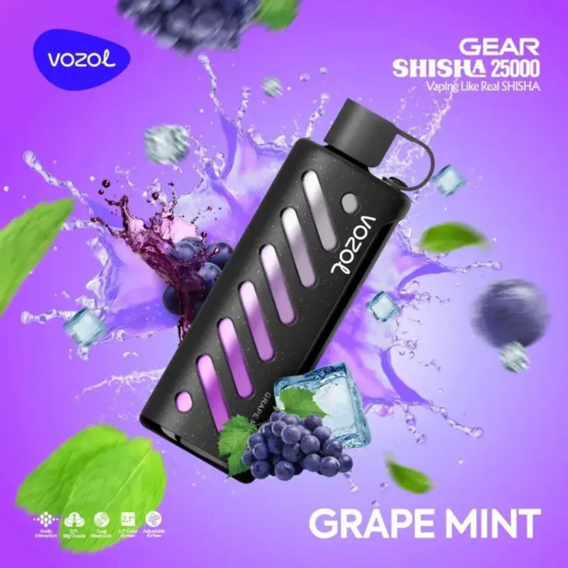 VOZOL GEAR 25000 Grape Mint