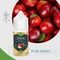 Themis Apple (30ML) Likit
