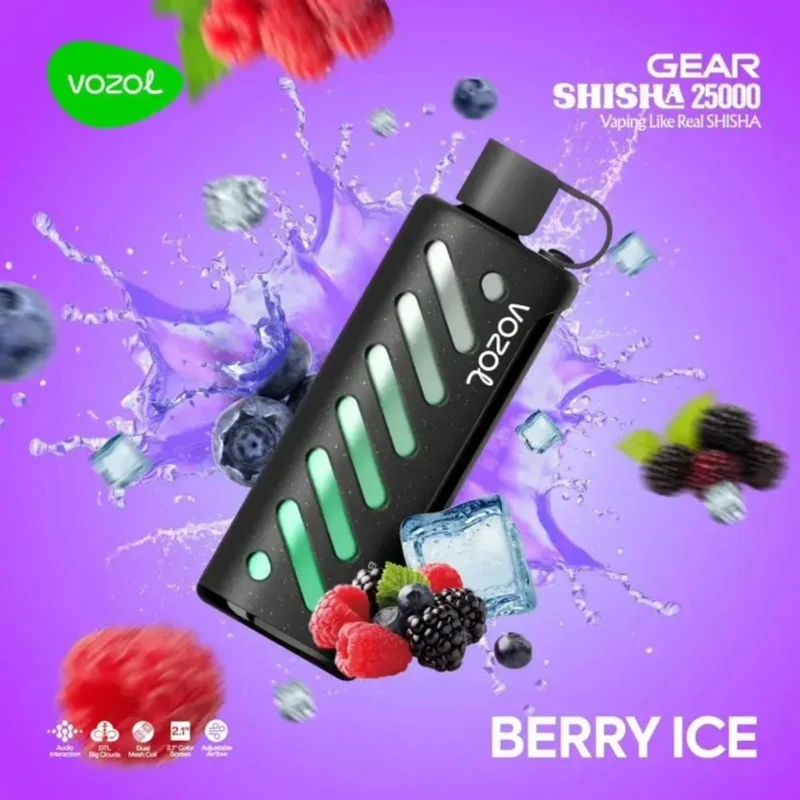 VOZOL GEAR 25000 Berry Ice