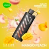 VOZOL GEAR 25000 Mango Peach