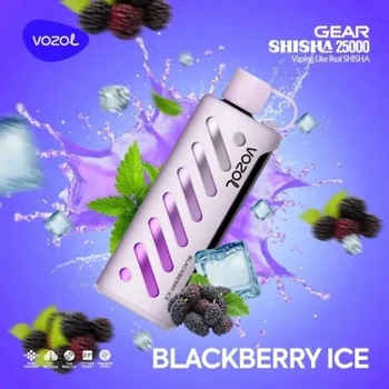 VOZOL GEAR 25000 Blackberry Ice