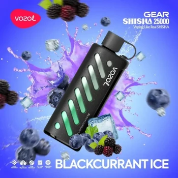VOZOL GEAR 25000 Blackcurrant Ice