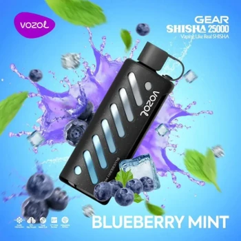 VOZOL GEAR 25000 Blueberry Mint