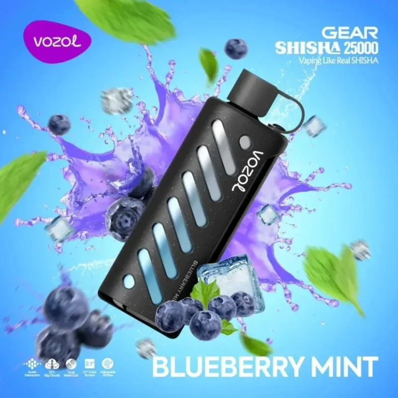 VOZOL GEAR 25000 Blueberry Mint