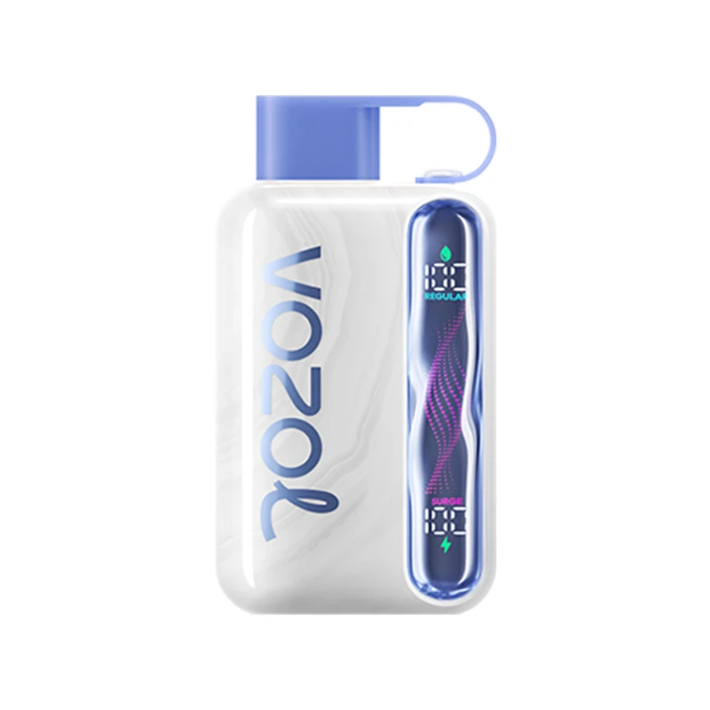 Vozol Star 40000 Blueberry Mint